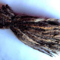 15 SE Single Ended Knotty Dreads Dreadlocks Hair Extensions Blonde Brown