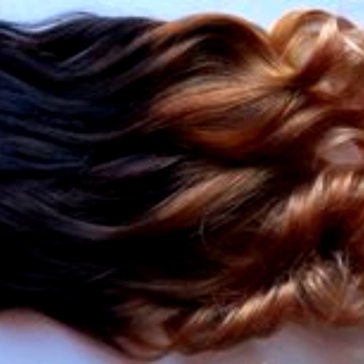 Black Auburn Gold Ombre Human Hair Clip or Tape Extensions